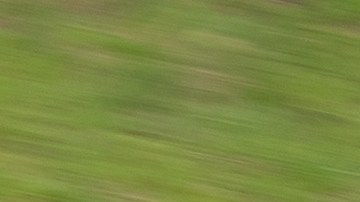 pasar vehículos de forma seguro en texas