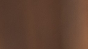 Las subastas de autos pueden ser un lugar para conseguir buenas ofertas.