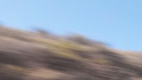 Tesla Model 3 2026 tiene una potencia y diseño actualizado.