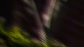 tipos de placas de matricula