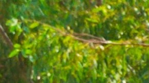 transporte de materiales peligrosos