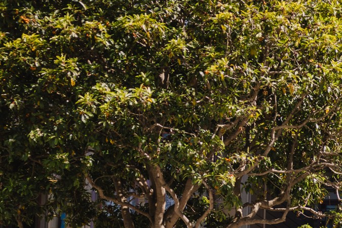 Un vehículo de Waymo que atiende a los pasajeros en San Francisco