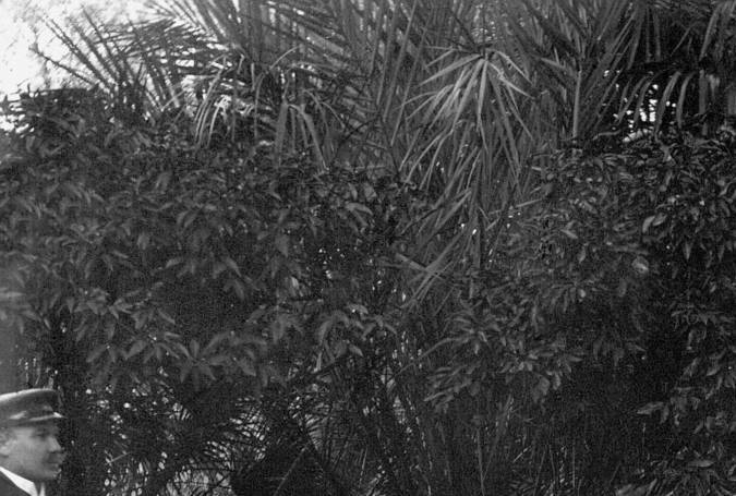 Mercedes 35 CV histórico en blanco y negro, vehículo pionero considerado el primer automóvil moderno de la industria.​