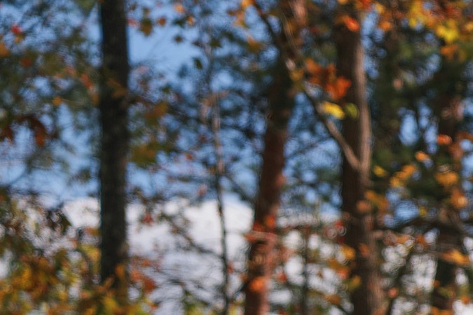 Chrysler Pacifica 2025 roja en bosque otoñal, minivan familiar versátil con diseño moderno y amplio espacio interior para viajes largos.