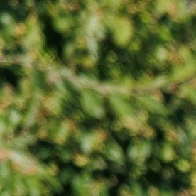 Nissan Rogue Plug-in Hybrid 2026 tiene una gran autonomía.