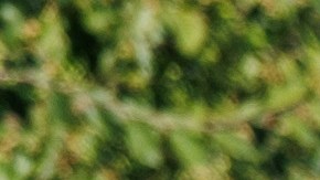 Nissan Rogue Plug-in Hybrid 2026 tiene una gran autonomía.