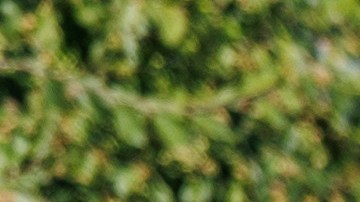 Nissan Rogue Plug-in Hybrid 2026 tiene una gran autonomía.