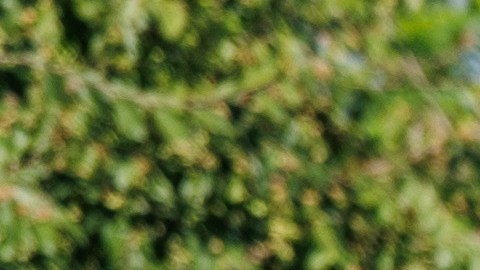 Nissan Rogue Plug-in Hybrid 2026 tiene una gran autonomía.