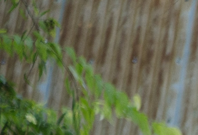 Hyundai Palisade Hybrid 2026 es el primero de la nueva generación.