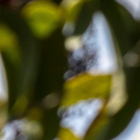 Toyota 4Runner Trailhunter Everest 2026 en la selva