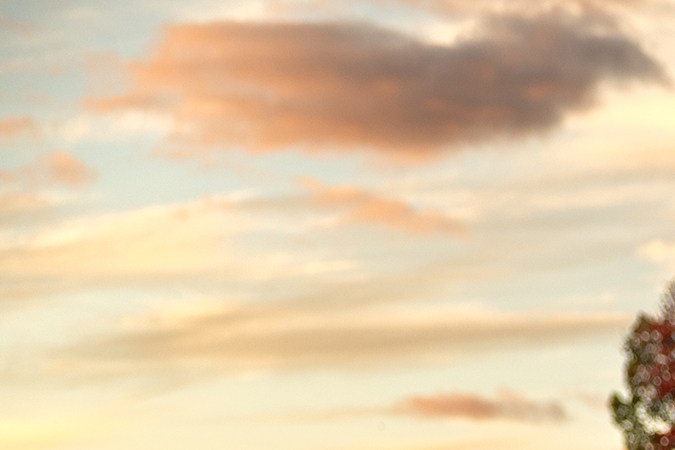 Chevrolet Camaro ZL1 fue descontinuado en 2024.