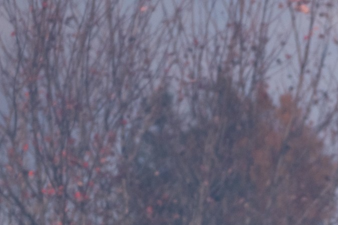 Dodge Charger Scat Pack 2026 tiene un diseño robusto.