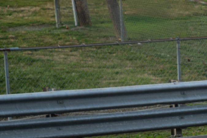 Dodge Charger Scat Pack 2026 tiene ADN para correr en cuarto de milla.