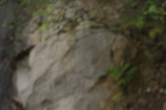 Dodge Charger Scat Pack 2026 hace volver el rugido de los motores en los charger.