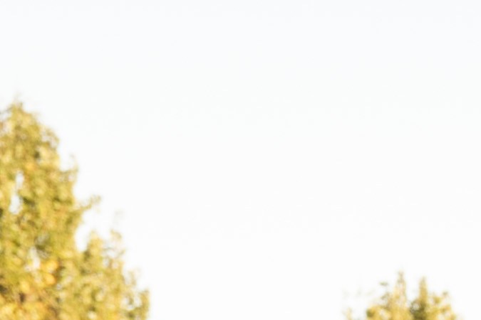 Fiat 500 Hybrid llega con versiones hatchback y convertible.