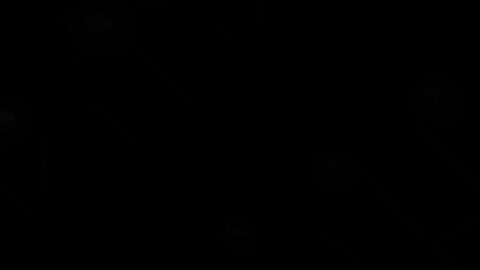 Booth de Honda en el Japan Mobility Show 2025