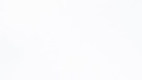 Hyundai Elantra N TCR Edition 2026 llega modo carrera.