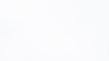 Hyundai Elantra N TCR Edition 2026 llega modo carrera.