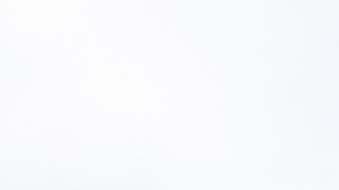 Hyundai Elantra N TCR Edition 2026 llega modo carrera.