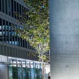 Mercedes S-Class sedán.