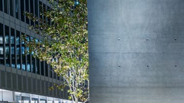 Mercedes S-Class sedán.