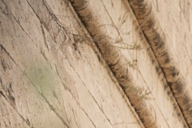 Mercedes-Maybach V12 Edition 2025