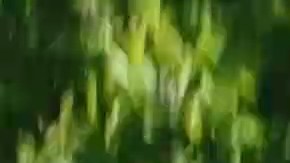 Imagen aérea vertical del vehículo de vagón de la estación gris