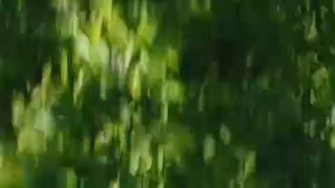 Imagen aérea vertical del vehículo de vagón de la estación gris