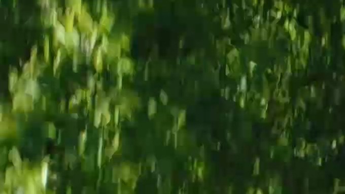 Imagen aérea vertical del vehículo de vagón de la estación gris