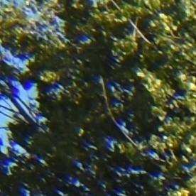 Polestar 3 y 4. Vehículos eléctricos.