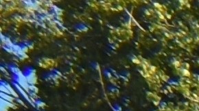 Polestar 3 y 4. Vehículos eléctricos.