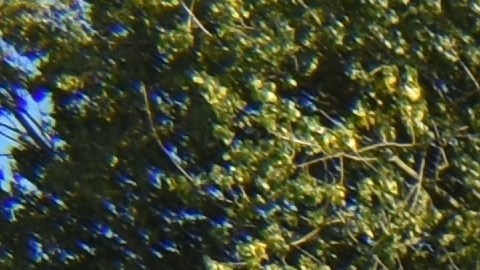 Polestar 3 y 4. Vehículos eléctricos.