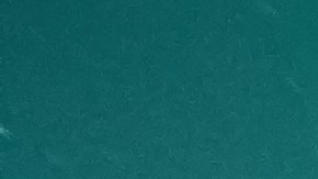 Alta, Norway - Jan 4, 2020: Blue Toyota Rav4 Hybrid standing near snow road under Notheren Light