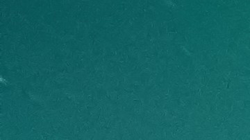 Alta, Norway - Jan 4, 2020: Blue Toyota Rav4 Hybrid standing near snow road under Notheren Light