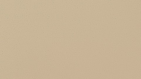 escoger agente de seguros en español