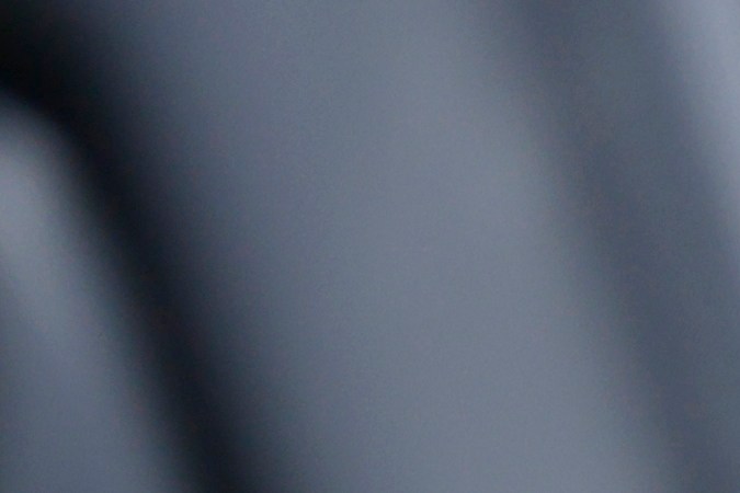 llevar mascotas en el auto