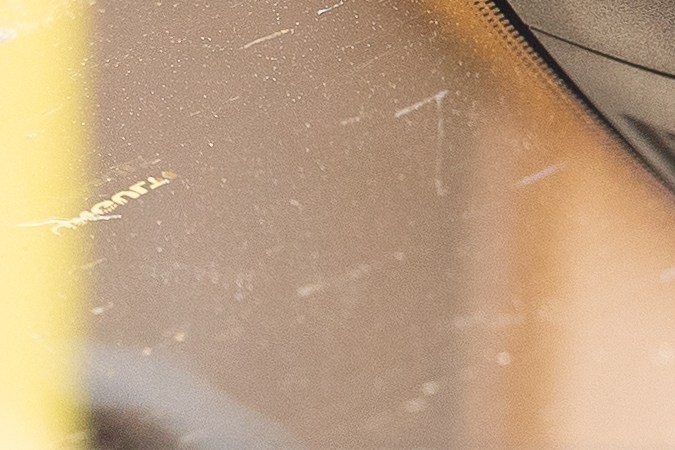 animales dentro del auto