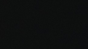 llevar animales sueltos en el auto