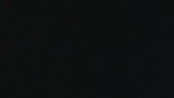 llevar animales sueltos en el auto