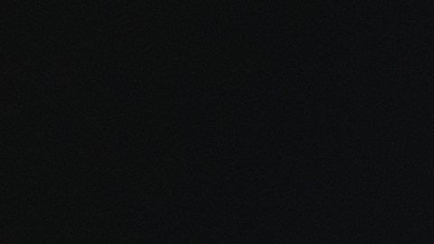 llevar animales sueltos en el auto