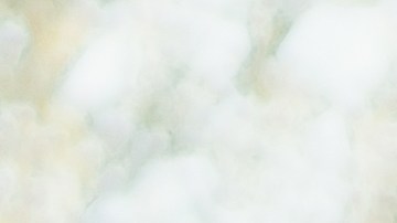 uso de paneles solares en autos