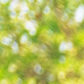 daños por choque leve