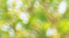 daños por choque leve