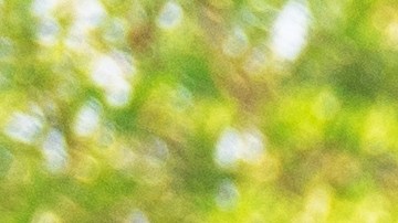 daños por choque leve