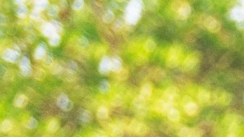 daños por choque leve