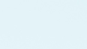 Existen muchos modelos RC que ofrecen altas velocidades.