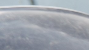 auto declarado como pérdida total