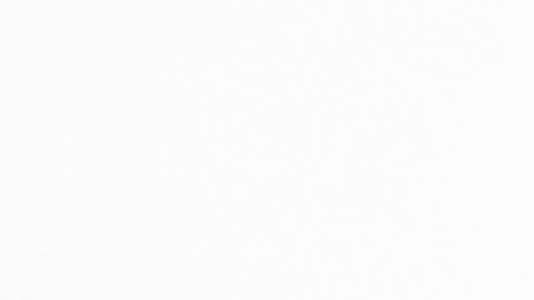 qué son los autos demo