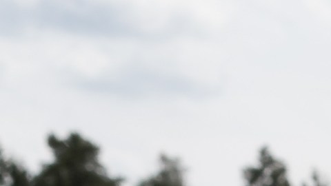 Los puntos ciegos en los autos son peligrosos para los peatones y vehículos.