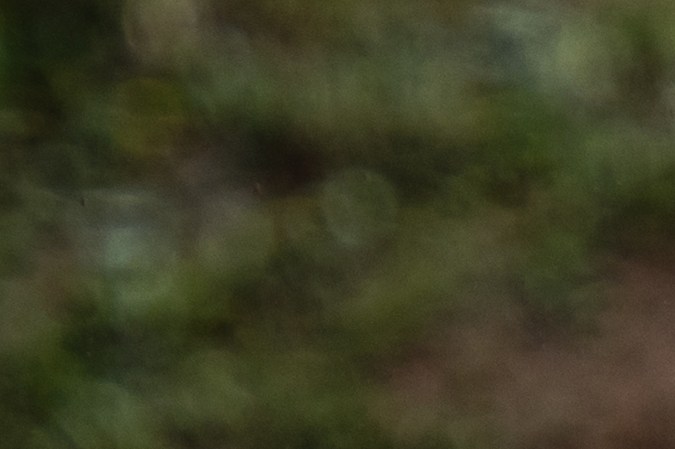 Muchos autos RC tienen capacidades todoterreno.